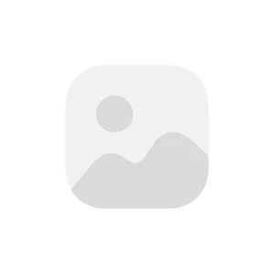 کوله پشتی کوهنوردی برزنتی فوروارد FCLT8020